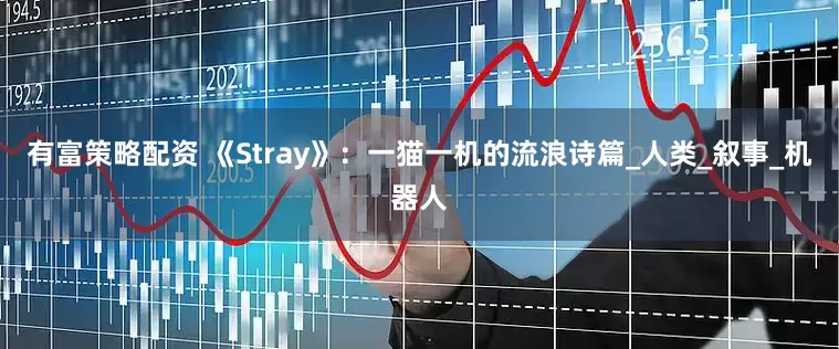 有富策略配资 《Stray》：一猫一机的流浪诗篇_人类_叙事_机器人