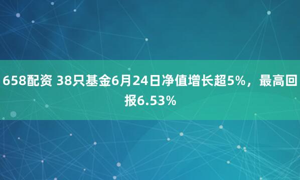 658配资 38只基金6月24日净值增长超5%，最高回报6.53%