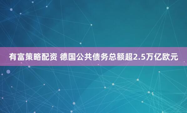 有富策略配资 德国公共债务总额超2.5万亿欧元