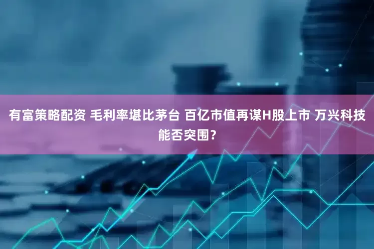 有富策略配资 毛利率堪比茅台 百亿市值再谋H股上市 万兴科技能否突围？