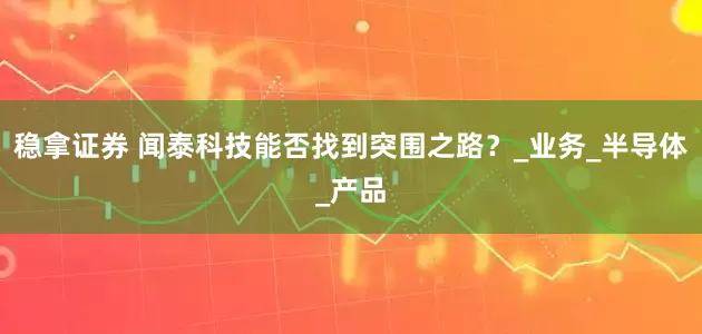 稳拿证券 闻泰科技能否找到突围之路？_业务_半导体_产品